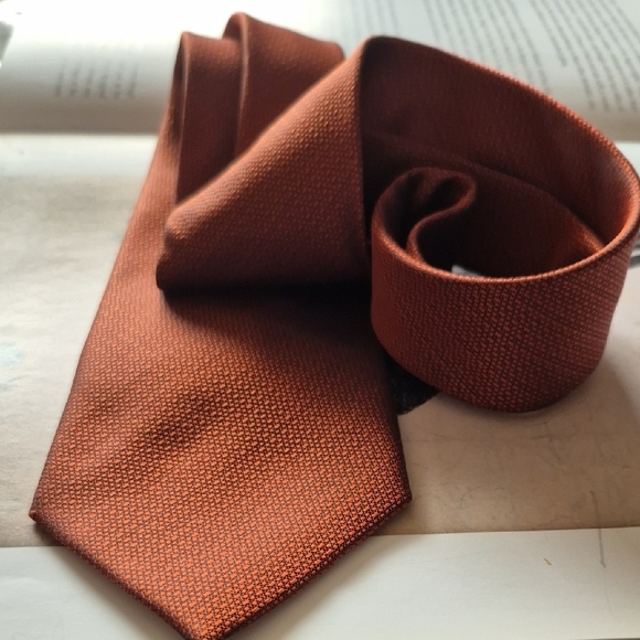 TED LAOIDUS PARIS RUSTY ORANGE Tie Luxurious Accessory - Picture 7 of 9